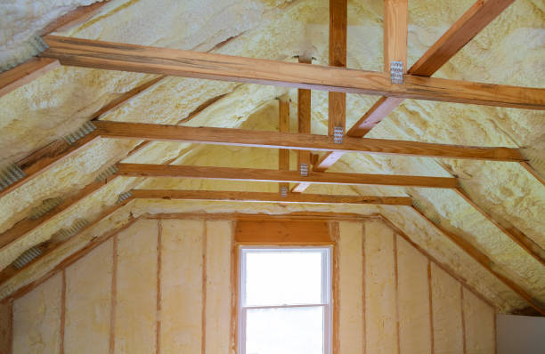 Best Eco-Friendly Insulation in Freeport, FL