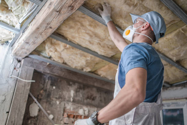 Best Residential Insulation in Freeport, FL