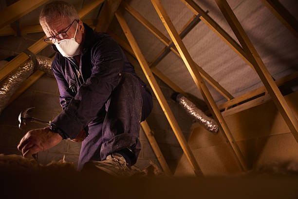Best Geographic-Specific Insulation Services in Freeport, FL